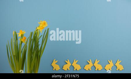 Happy Easter concept. Wide banner with yellow daffodils and paper bunny on blue background. Copy space. Paper cut. Stock Photo