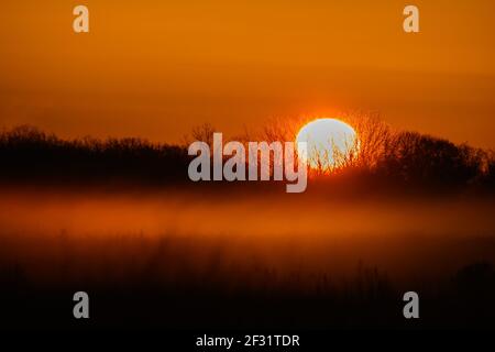 Sunrise over misty forest. Attwater Prairie Chicken National Wildlife Refuge. Houston, Texas, USA. Stock Photo