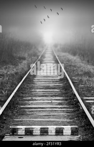 Birds fly over empty abandoned railway in foggy forest on an autumn day Stock Photo