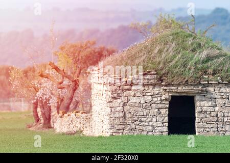 old stone farmer's hut with sun glare on one side in a green cereal field Stock Photo