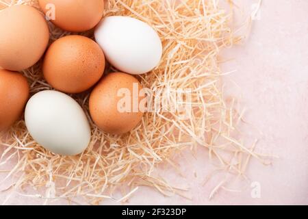 Chicken eggs on pink background top view. Organic chicken eggs Stock Photo