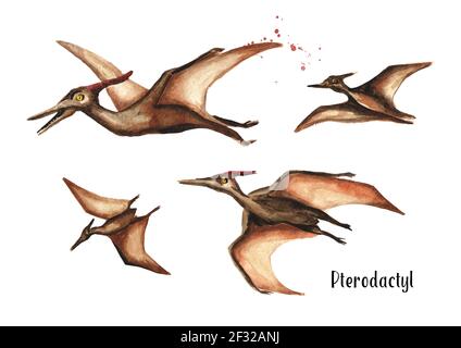 Dinosaur Pterodactyl Watercolor illustration. Hand drawn clip art of ...