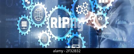 RIP. Businessman pressing virtual screen Routing Information Protocol. Technology networks cocept. Stock Photo