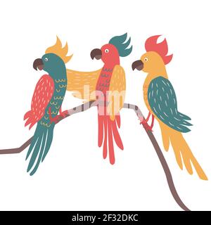 Three exotic parrots set sitting on brunches. Tropical birds and parrot collection vector illustration Stock Vector