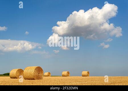 Grain field after harvest, stubble field with round straw bales, blue cloudy sky, North Rhine-Westphalia, Germany Stock Photo