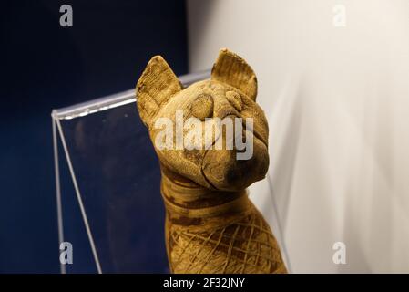 Egyptian Museum, Italy - february 2021: mummy of a cat for a ritual sacrifice Stock Photo