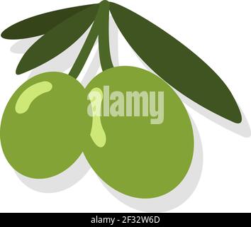 Green olives on branch vector illustration Stock Vector Image & Art - Alamy