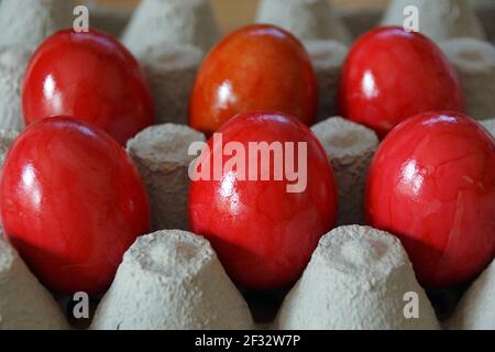 Red Colored Easter Eggs In An Egg Carton Stock Photo