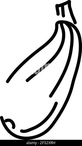 One zucchini, illustration, vector on a white background Stock Vector