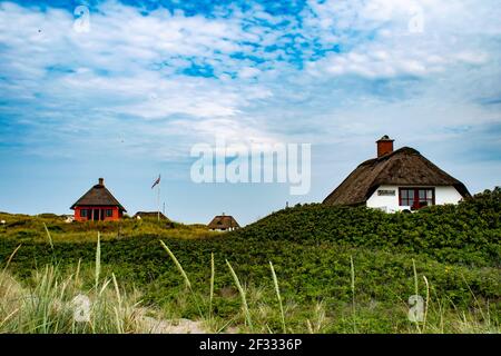 Traditional danish houses with thatched roof on shores of Blavand beaches