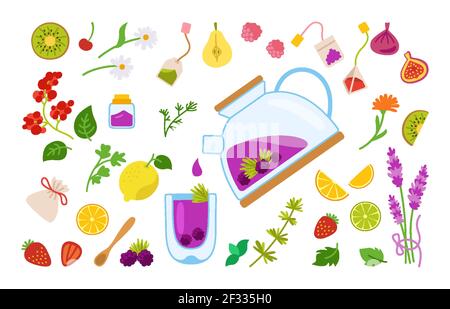 Hot tea with blackberries and herbs, fruits cartoon set. Kettle medical healthy herbal tea in a transparent teapot. Hand drawn collection ingredients lavender, apple pear, strawberry and ginger vector Stock Vector