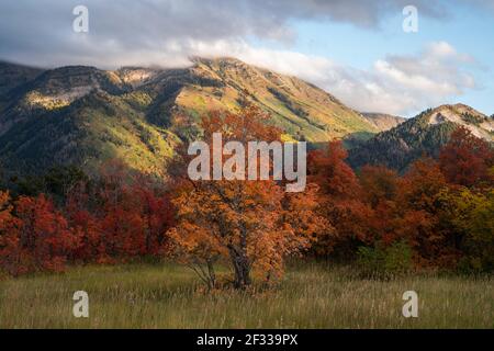 Provo Peak in the evening of Fall Stock Photo