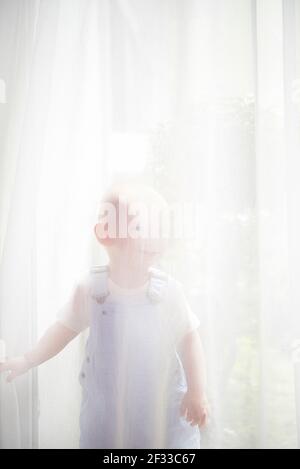 Smiling cute little kid standing behind curtain by window and looking away Stock Photo