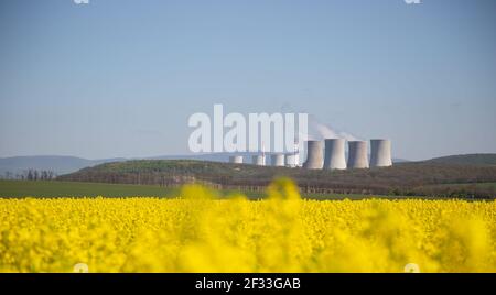 Nuclear or thermal power plant chimneys with a field of yellow rapeseed in front of them.