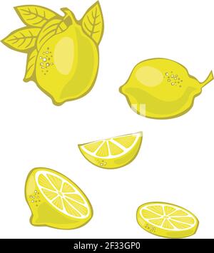 Lemons and lemon slices illustration Stock Vector