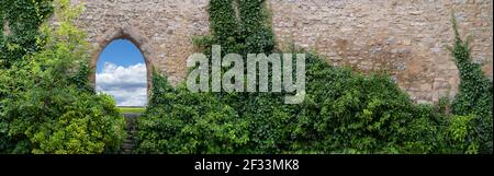Old, partly overgrown wall with an open, gothic window arch Stock Photo