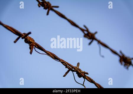 Rusty steel barbed wire against a blue sky Stock Photo