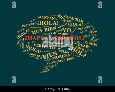 Hablas Español (Do You Speak Spanish) on speech bubble shape with Spanish popular words. can be used as online Spanish learning course or lesson, Lang Stock Photo