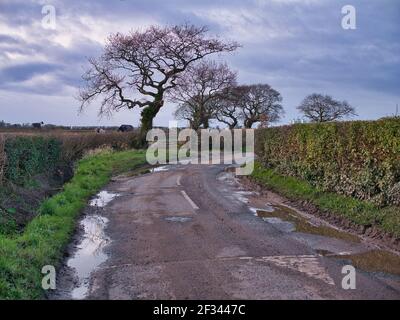 Standing water in pot holes on a damaged section of country lane in the north-west UK in winter. Stock Photo