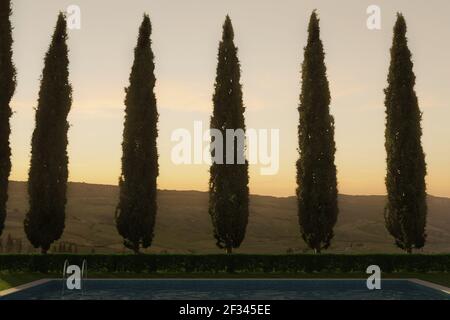 3d rendering of modern swimming pool in front of cypress trees and tuscany landscape in the evening sunlight Stock Photo