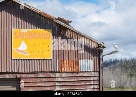 A seagull sits on a street light beside a rusting old iron shed or building at Lake Conjola on the New South Wales south coast in Australia Stock Photo