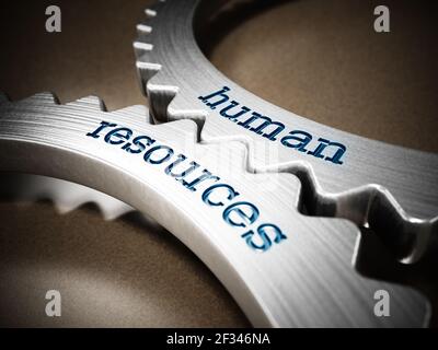 Two gears in motion with human resources text. 3D illustration. Stock Photo