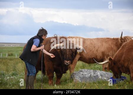 Lesley Matheson, Brue, Highland Cattle, Isle of Lewis, Western Isles, Scotland, UK Stock Photo