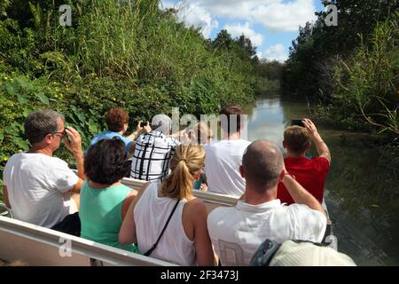 geography / travel, USA, Florida, Florida City, Everglades tour with Airboat, alligator farm City, Flo, Additional-Rights-Clearance-Info-Not-Available Stock Photo