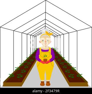 Woman near the greenhouse. Greenhouse for plants. Spring work in the garden and vegetable garden.Vector illustration. Stock Vector