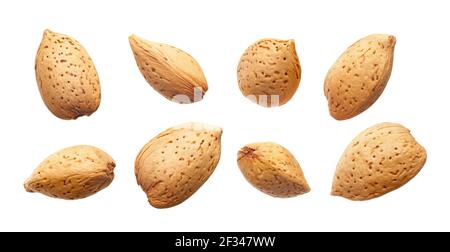Set of almonds nut in shell isolated on white background Stock Photo