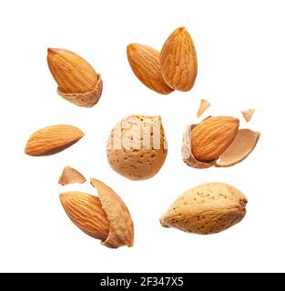 Almonds nuts collection isolated on white background Stock Photo