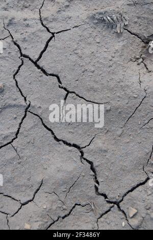 Cracked Mud portrait Stock Photo