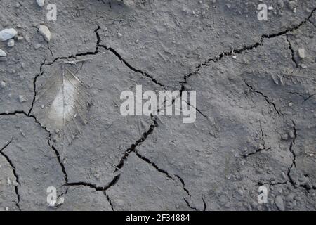 Cracked Mud landscape Stock Photo