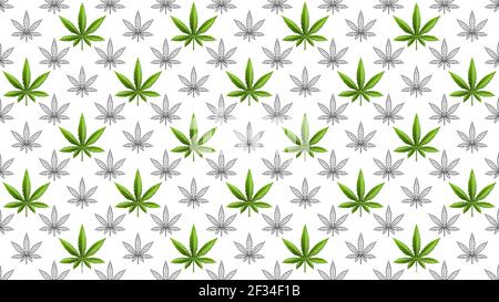 Marijuana or cannabis leafs weed seamless pattern Stock Vector