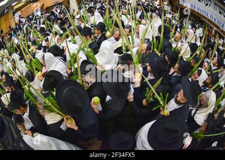 A fisheye lens view of a very crowded synagogue service on Sukkot. In Brooklyn, New York, 2015. Stock Photo