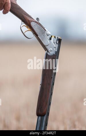 Close up shot of an unloaded gun handled by am adult man during a shooting day Stock Photo
