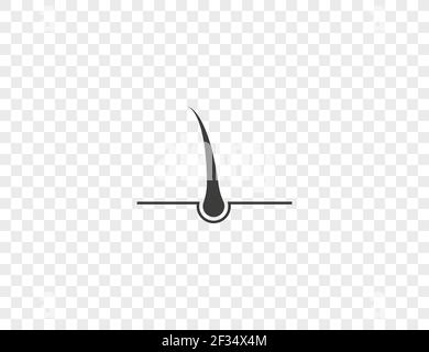 Vector illustration. Hair, hair follicles root icon Stock Vector