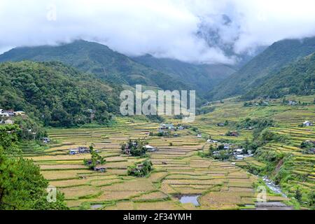 Philippines, rice terraces in the valley Hapao, Banaue Stock Photo