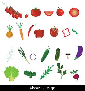 Collection of vegetables, different style designs, scalable vector set, healthy food Stock Vector