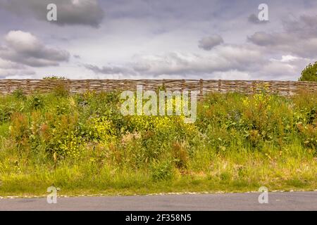 Ecological sound barrier earth wall with wicker fence of willow branches. Flowers en trees are growing on the dike with vegetation. The Netherlands. Stock Photo