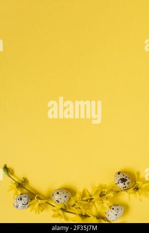 Flower arrangement. A flowering branch and quail eggs on a yellow pastel background. Spring, Easter concept. Flat bed, top view, copy space. Stock Photo