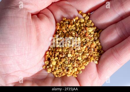 Bee pollen on a hand. Granules. Stock Photo