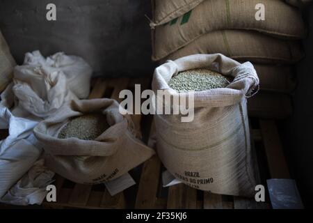Green coffee beans in burlap sack at roaster company. Stock Photo