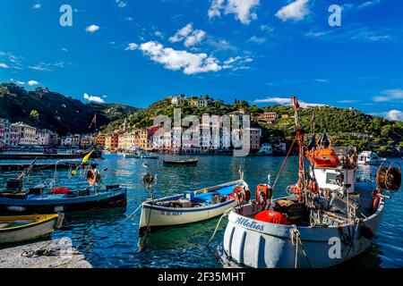 Miscellaneous small vessels moored in harbor. Row of houses at waterfront in background. Cinque Terre, Liguria, Italy. Stock Photo