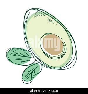 Cartoon slice of avocado with core and leaf isolated on the white. Stock Vector