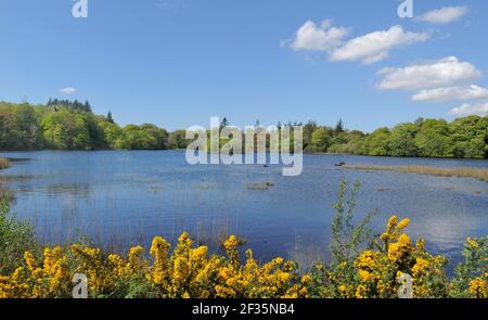 Lough Eske, North of Donegal Town, County Donegal, Credit:Robert Thompson / Avalon Stock Photo