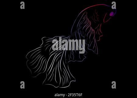 Outline Vector Betta or siamese fighting fish, Giant Half Moon, on White background Stock Vector