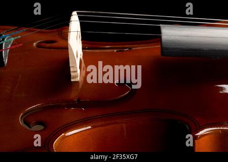 Close up macro of bridge on brown wooden fiddle or violin, classic musical instrument, over black background, selective focus Stock Photo