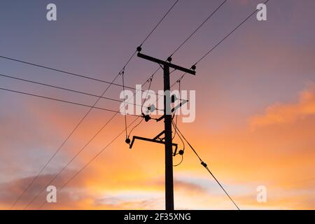 Wooden electricity distribution pole pylon with cables at sunset. Hertfordshire, UK. Stock Photo