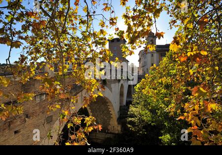 Italy, Rome, Tiber river, Pons Fabricius bridge in autumn Stock Photo